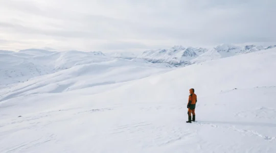 A lone backcountry traveler pauses at the edge of a vast, sunlit open powder field, assessing the terrain before crossing.